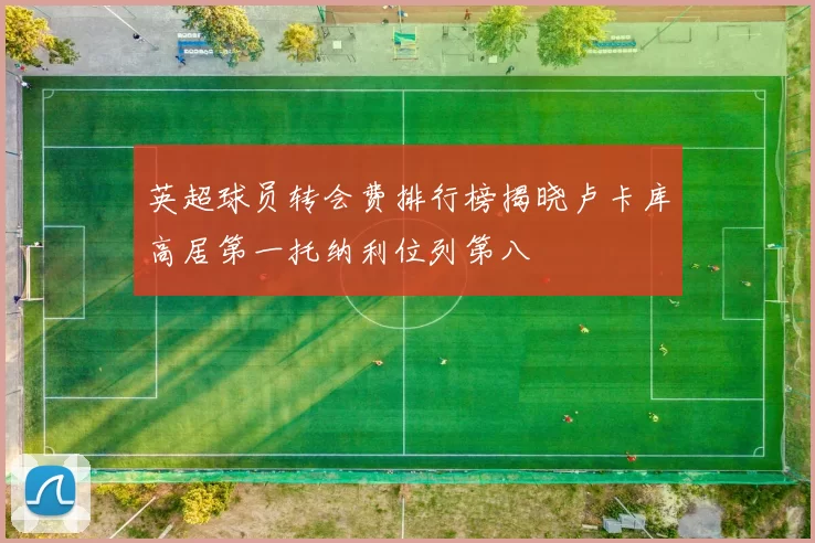 英超球员转会费排行榜揭晓卢卡库高居第一托纳利位列第八
