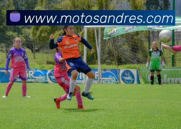 用户互动社区